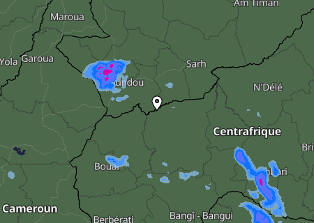 Niederschlagsprognose
