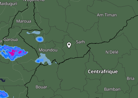 Niederschlagsprognose