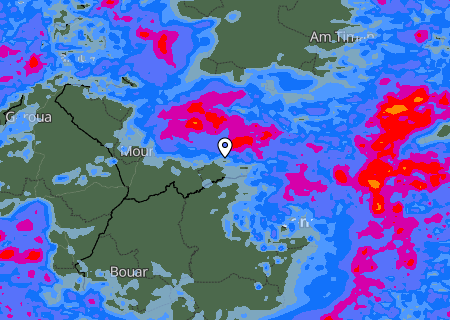 Niederschlagsprognose