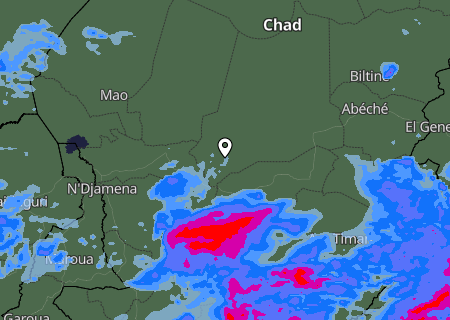 Niederschlagsprognose
