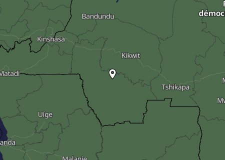 Niederschlagsprognose