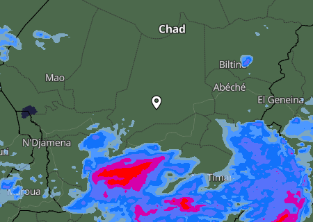 Niederschlagsprognose