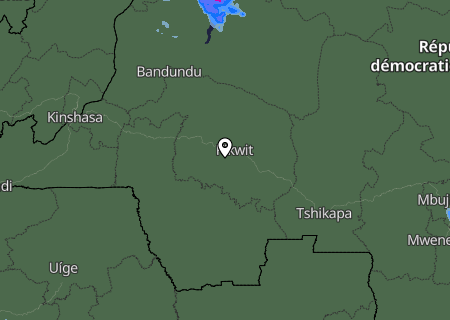 Niederschlagsprognose