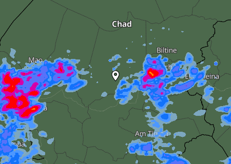 Niederschlagsprognose