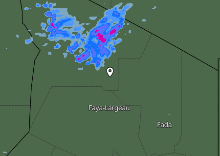 Niederschlagsprognose