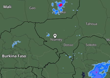 Niederschlagsprognose