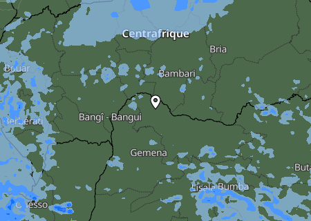 Niederschlagsprognose
