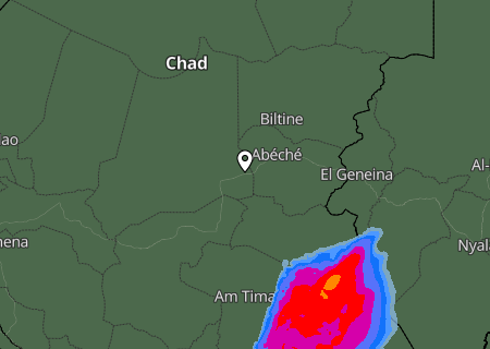 Niederschlagsprognose
