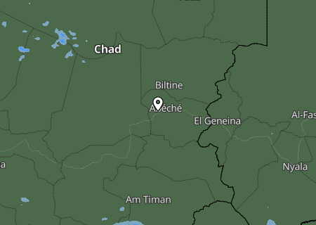 Niederschlagsprognose