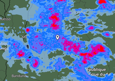 Niederschlagsprognose