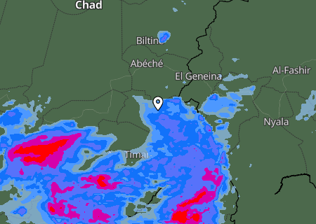 Niederschlagsprognose