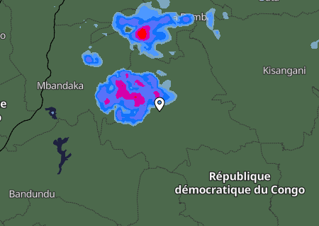 Niederschlagsprognose