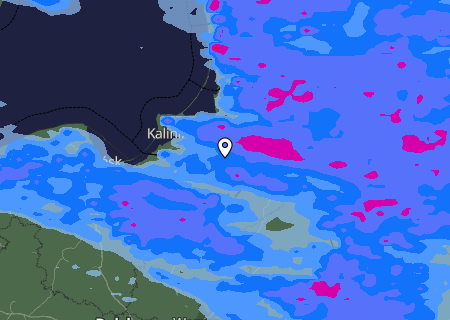 Niederschlagsprognose
