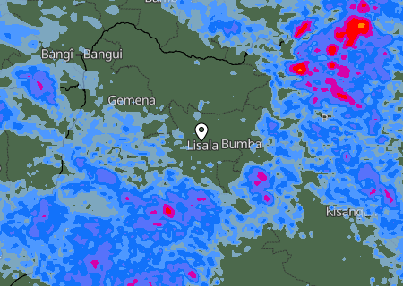 Niederschlagsprognose