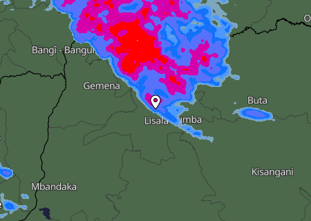 Niederschlagsprognose