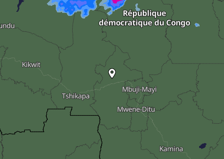 Niederschlagsprognose