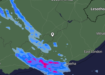 Niederschlagsprognose