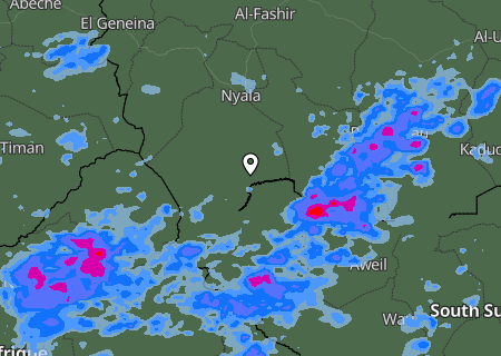 Niederschlagsprognose