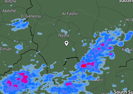 Niederschlagsprognose