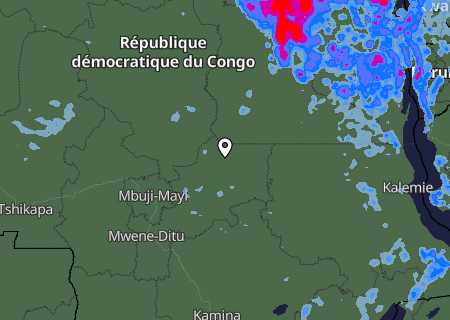 Niederschlagsprognose