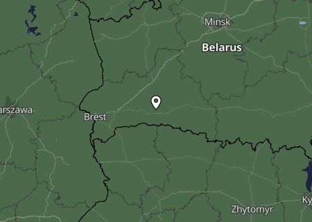 Niederschlagsprognose