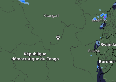 Niederschlagsprognose