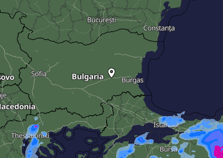 Niederschlagsprognose