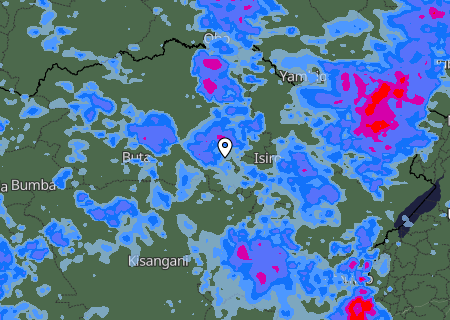 Niederschlagsprognose