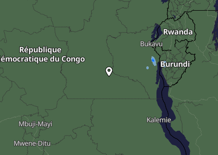 Niederschlagsprognose