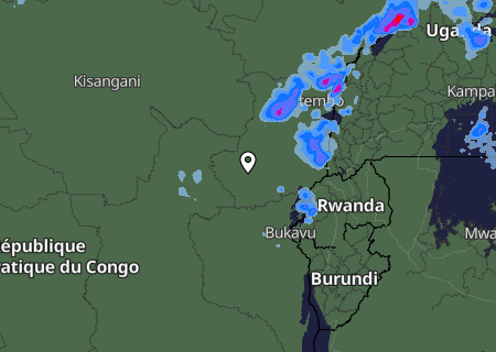 Niederschlagsprognose