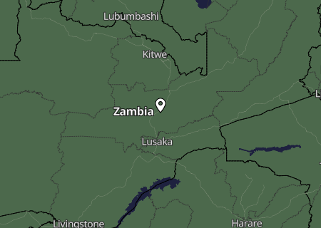 Niederschlagsprognose