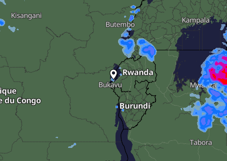 Niederschlagsprognose