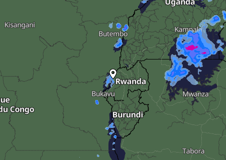 Niederschlagsprognose