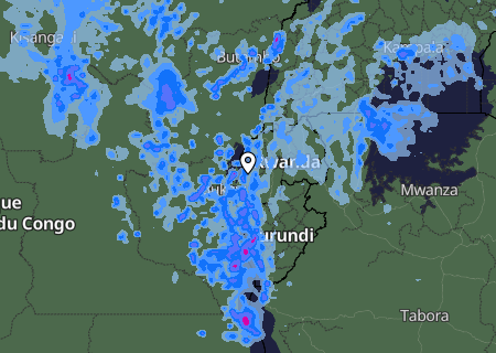 Niederschlagsprognose