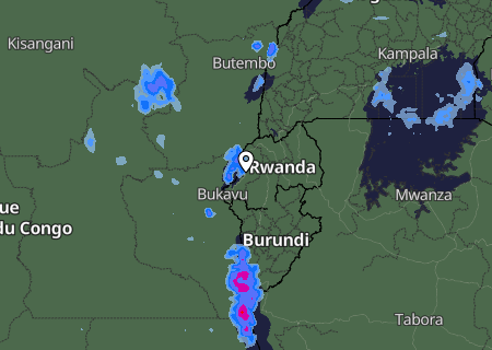 Niederschlagsprognose
