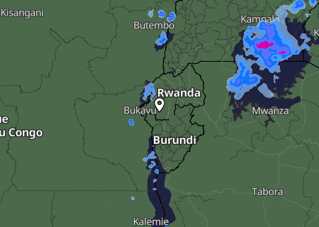 Niederschlagsprognose