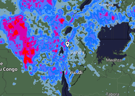 Niederschlagsprognose