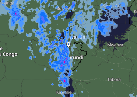 Niederschlagsprognose