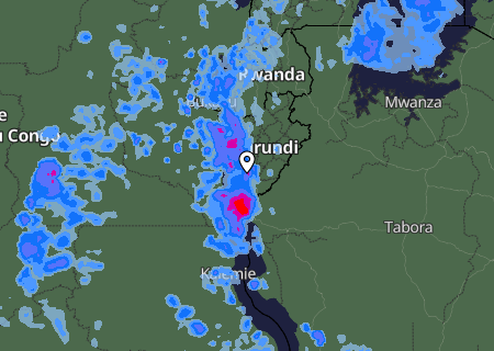 Niederschlagsprognose