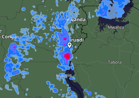 Niederschlagsprognose