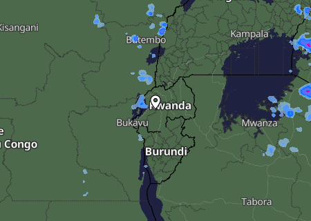Niederschlagsprognose