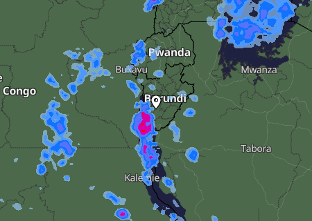 Niederschlagsprognose