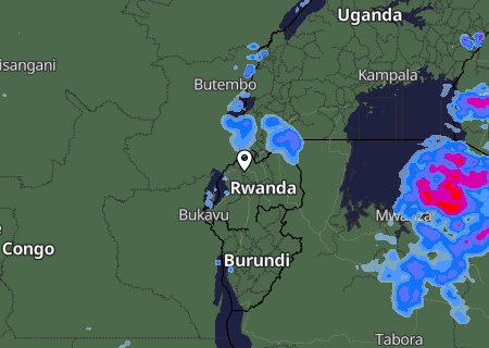 Niederschlagsprognose