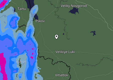 Niederschlagsprognose