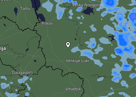 Niederschlagsprognose