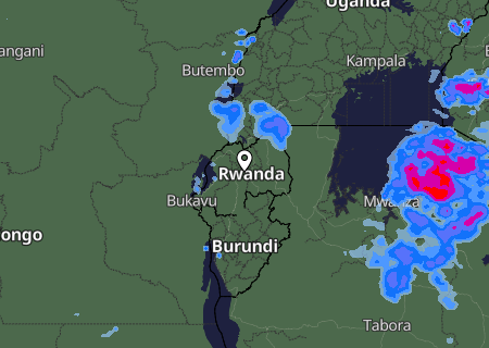 Niederschlagsprognose