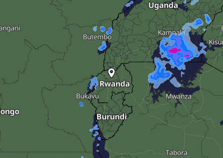 Niederschlagsprognose
