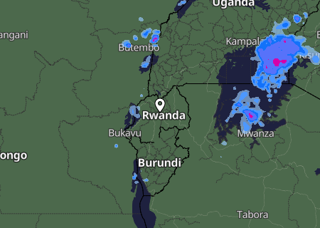 Niederschlagsprognose