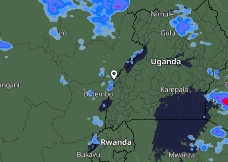 Niederschlagsprognose
