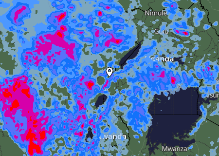 Niederschlagsprognose